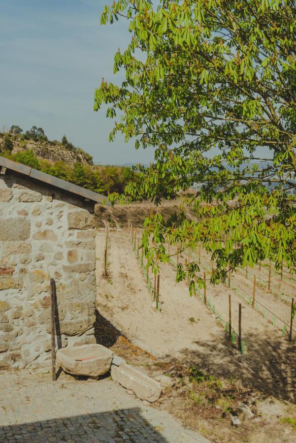 The Farmhouse I - Uma Quinta Deslumbrante Villa Felgueiras Exteriör bild